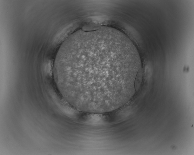 X0000110700121200907022007