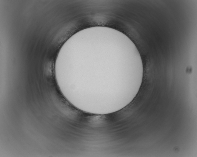 X0000110700122200907022007