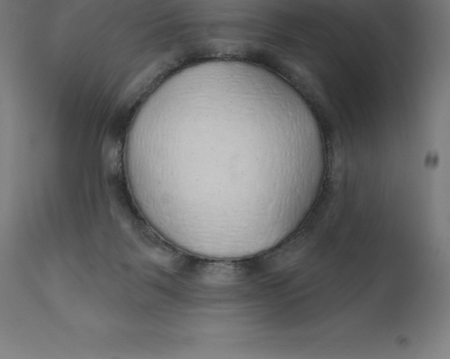 X0000110700123200907022007
