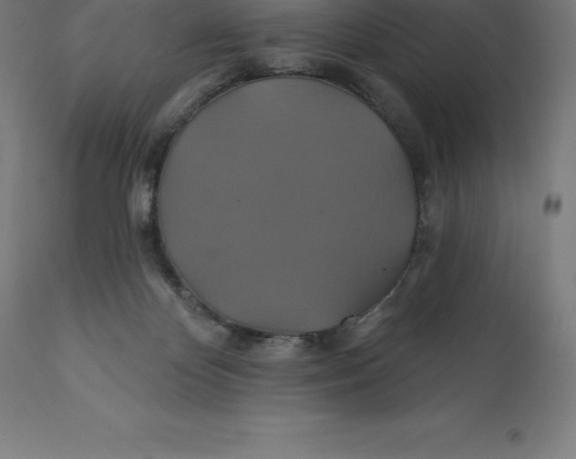 X0000110700124200907022007