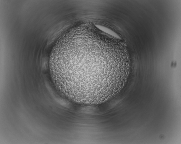 X0000110700125200907022007