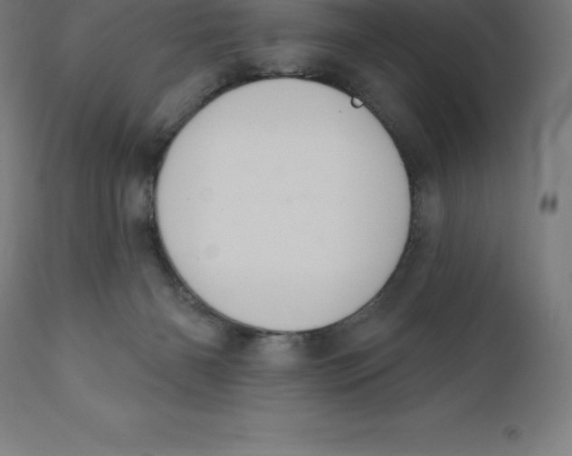 X0000110700126200907022007
