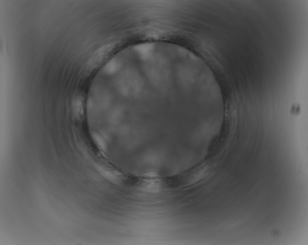 X0000110700127200907022007