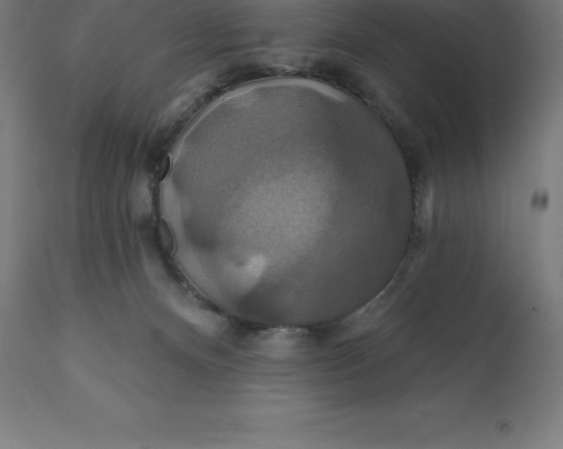 X0000110700128200907022007