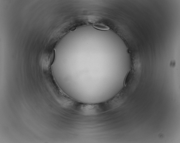 X0000110700129200907022007