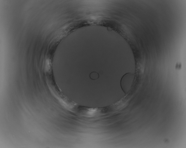 X0000110700130200907022007
