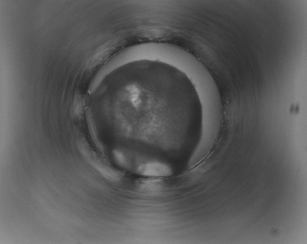 X0000110700132200907022007