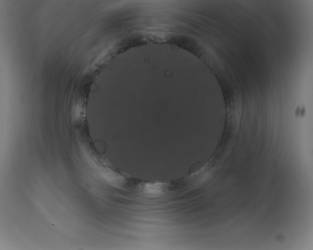 X0000110700134200907022007