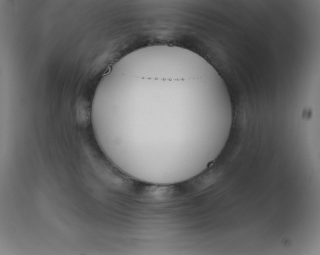 X0000110700135200907022007