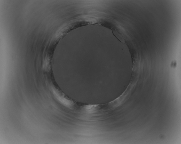 X0000110700136200907022007