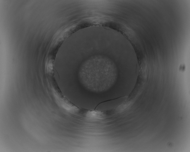 X0000110700137200907022007