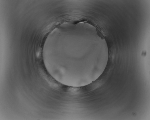X0000110700139200907022007