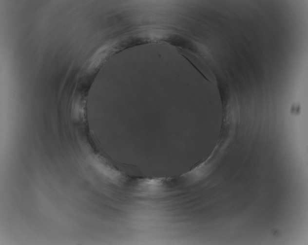 X0000110700140200907022007