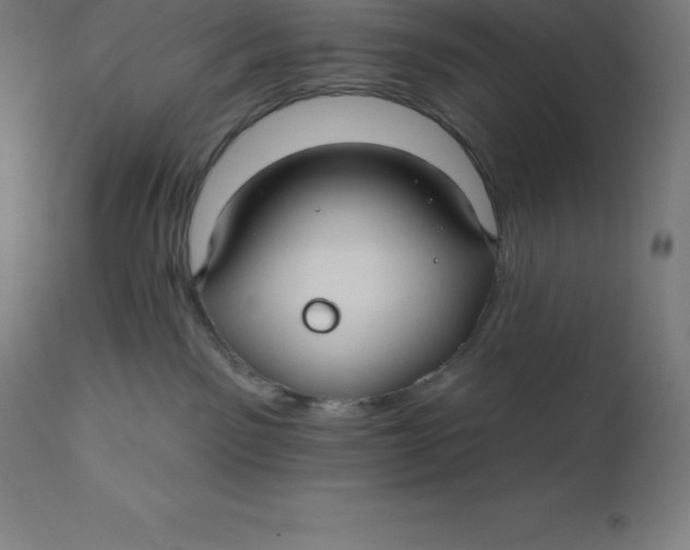 X0000110700141200907022007