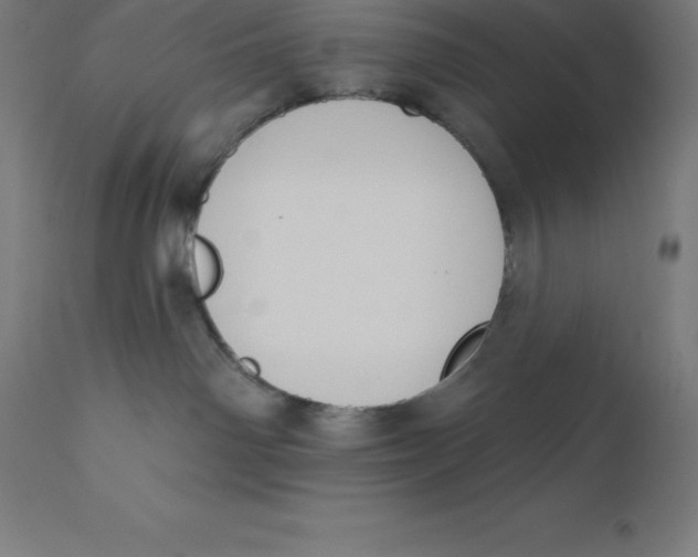 X0000110700142200907022007