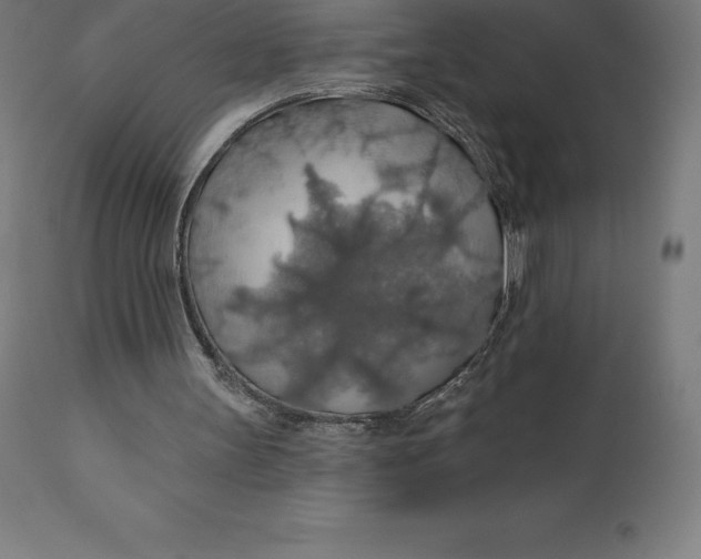 X0000110700147200907022006