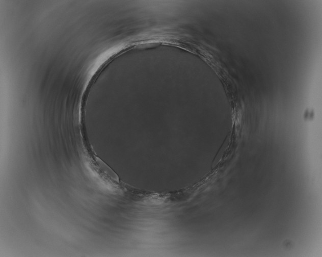 X0000110700148200907022006