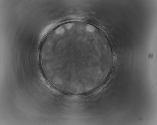 X0000110700149200907022006
