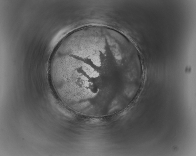 X0000110700151200907022006