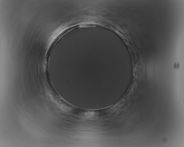 X0000110700152200907022006