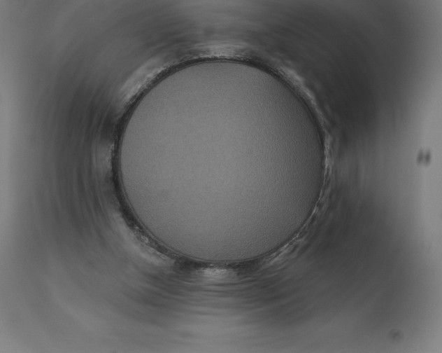 X0000110700154200907022006