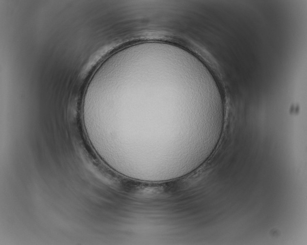 X0000110700155200907022006
