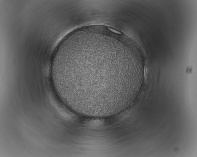 X0000110700156200907022006