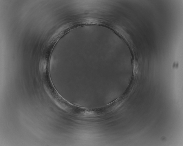 X0000110700157200907022006