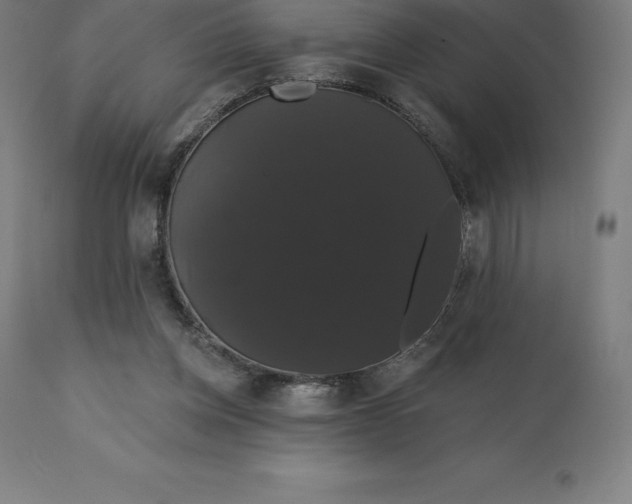 X0000110700158200907022006