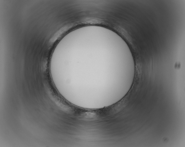 X0000110700159200907022006