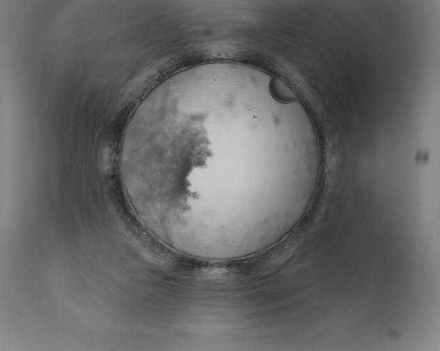 X0000110700161200907022006