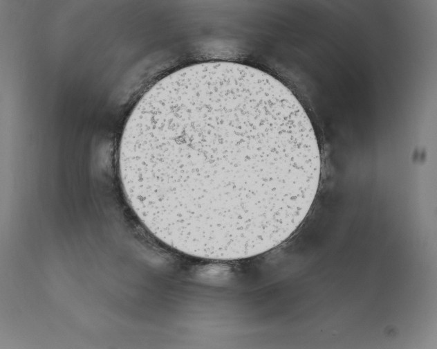 X0000110700162200907022006
