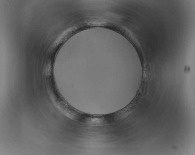 X0000110700163200907022006