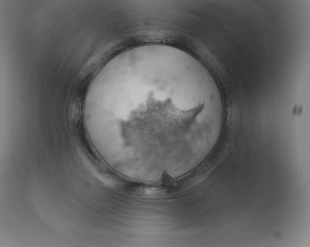 X0000110700165200907022006