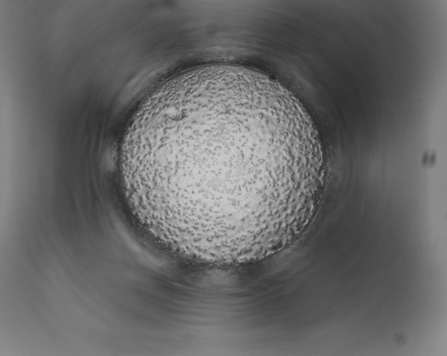 X0000110700166200907022006