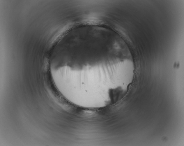 X0000110700167200907022006