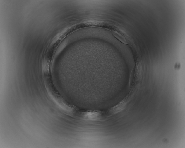 X0000110700168200907022006