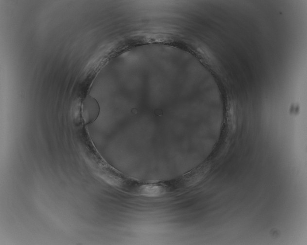 X0000110700169200907022006