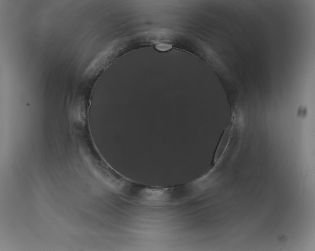 X0000110700170200907022006