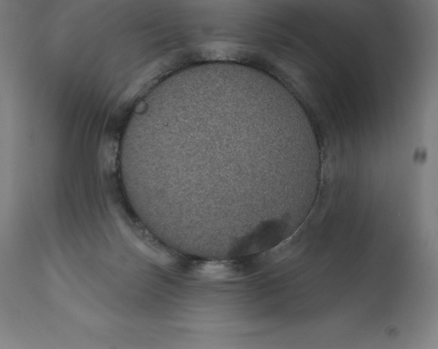 X0000110700171200907022006