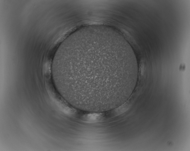 X0000110700172200907022006