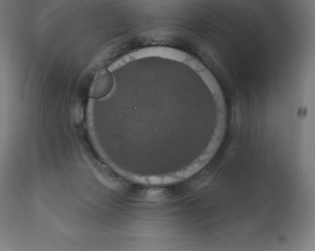 X0000110700173200907022006