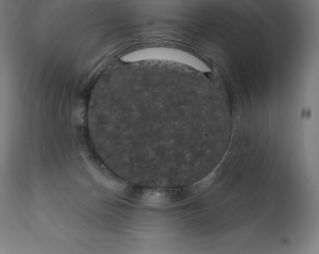 X0000110700174200907022006