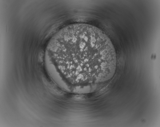 X0000110700175200907022006