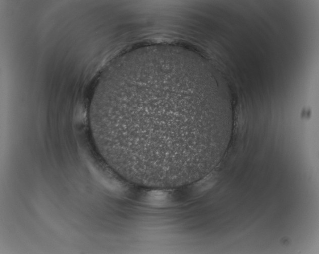 X0000110700176200907022006