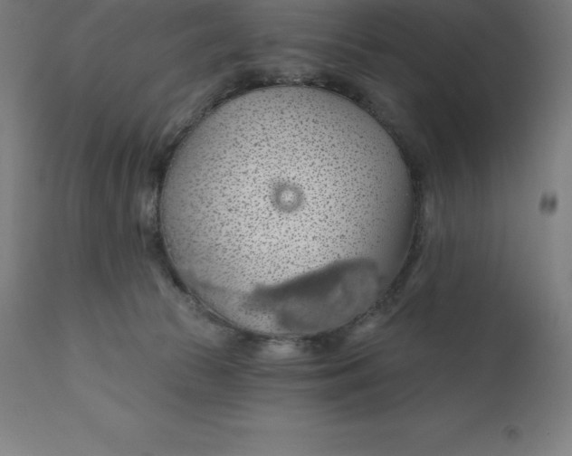 X0000110700177200907022006