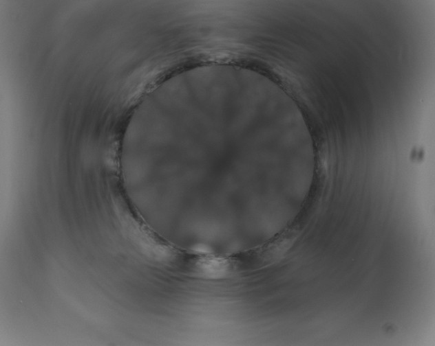 X0000110700181200907022006