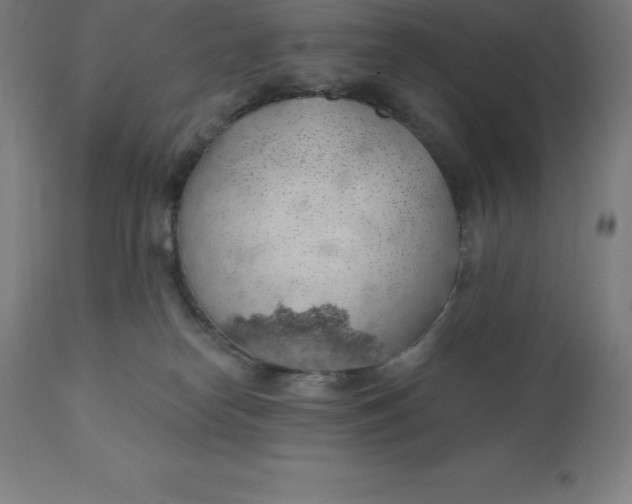 X0000110700182200907022006