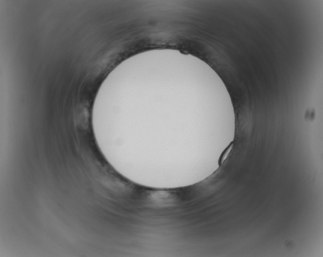 X0000110700183200907022006