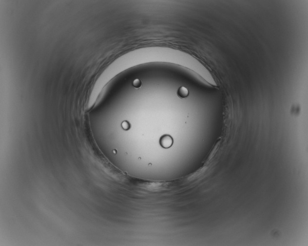 X0000110700184200907022006